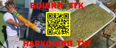 МДПВ Будённовск