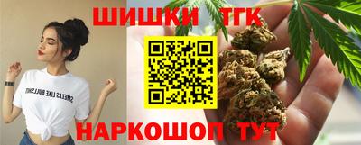 МДПВ Будённовск