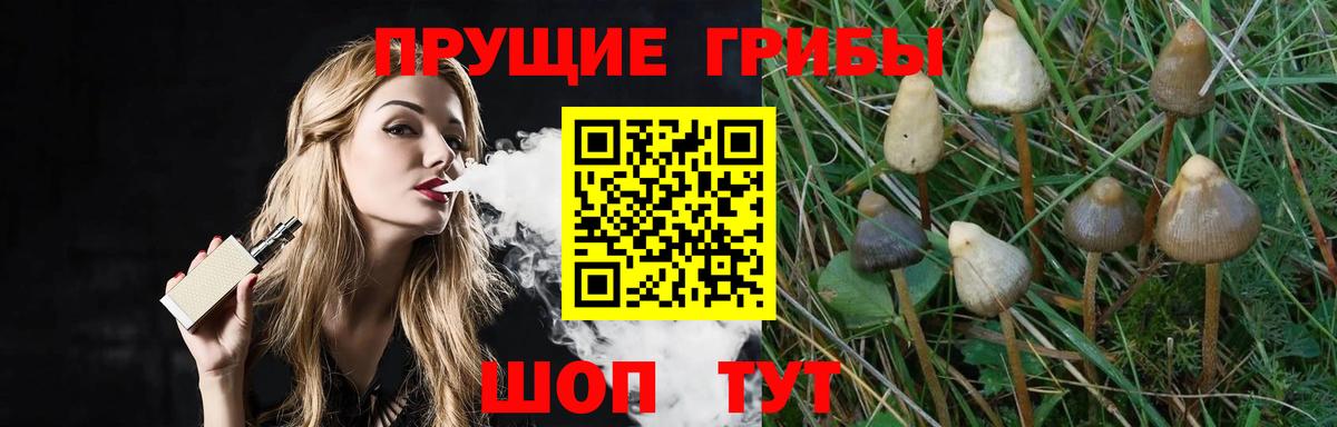 Галлюциногенные грибы MAGIC MUSHROOMS Прохладный